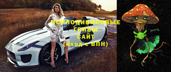 герыч Тутаев