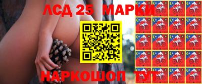 гидропоника Кинель