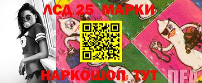 скорость Кимры