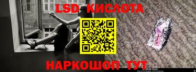 шишки Кингисепп