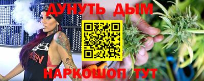 шишки Кингисепп