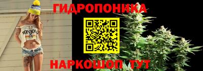скорость Кимры