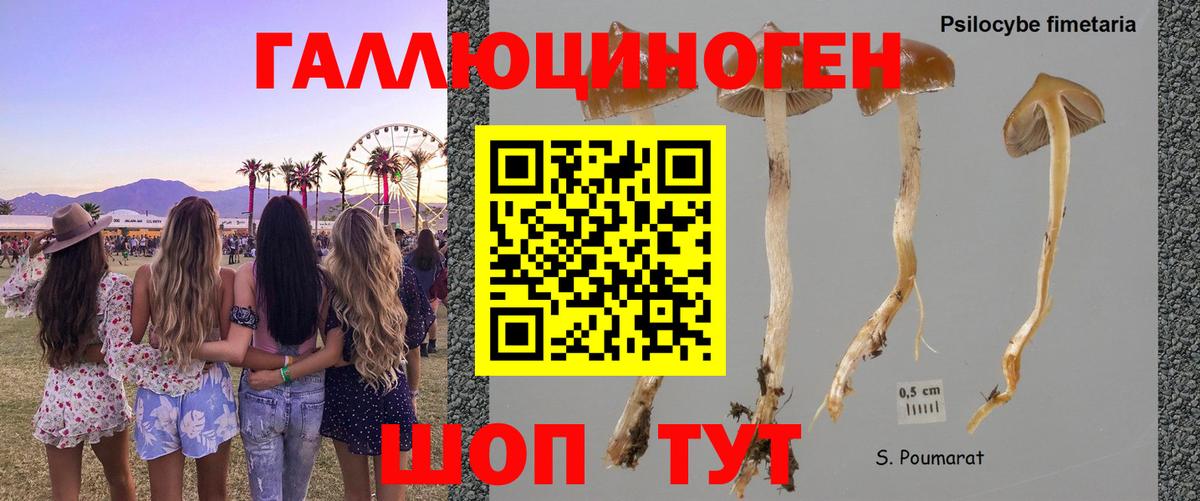 Псилоцибиновые грибы прущие грибы Усть-Илимск